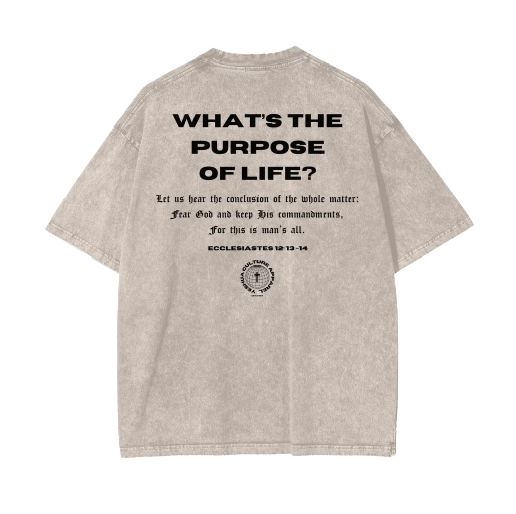 FEAR GOD Oversized Christian Tee back view featuring Ecclesiastes 12:13 scripture