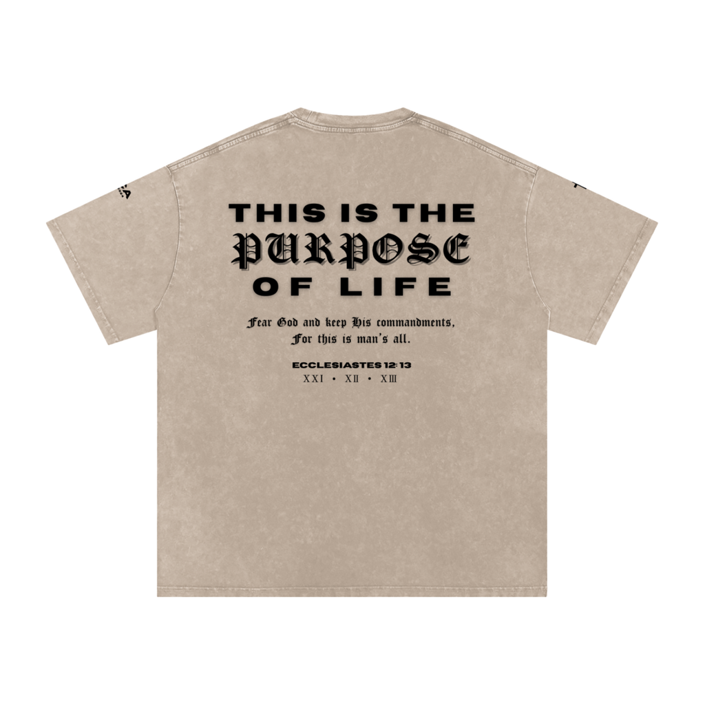 Back of FEAR GOD tee reading "This is the purpose of life," Ecclesiastes 12:13