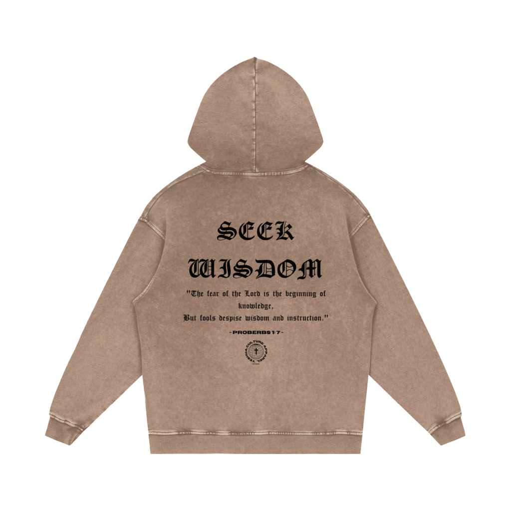 SEEK WISDOM Oversized Christian Hoodie back view with Proverbs 1:7 scripture print — bold oversized Christian streetwear