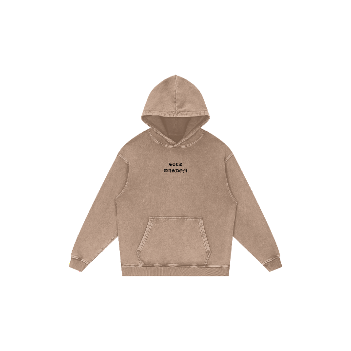 SEEK WISDOM Oversized Christian Hoodie rotating view showing front and back with Proverbs 1:7 scripture